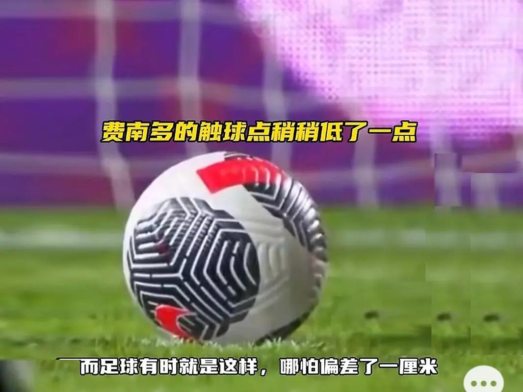 职业生涯目