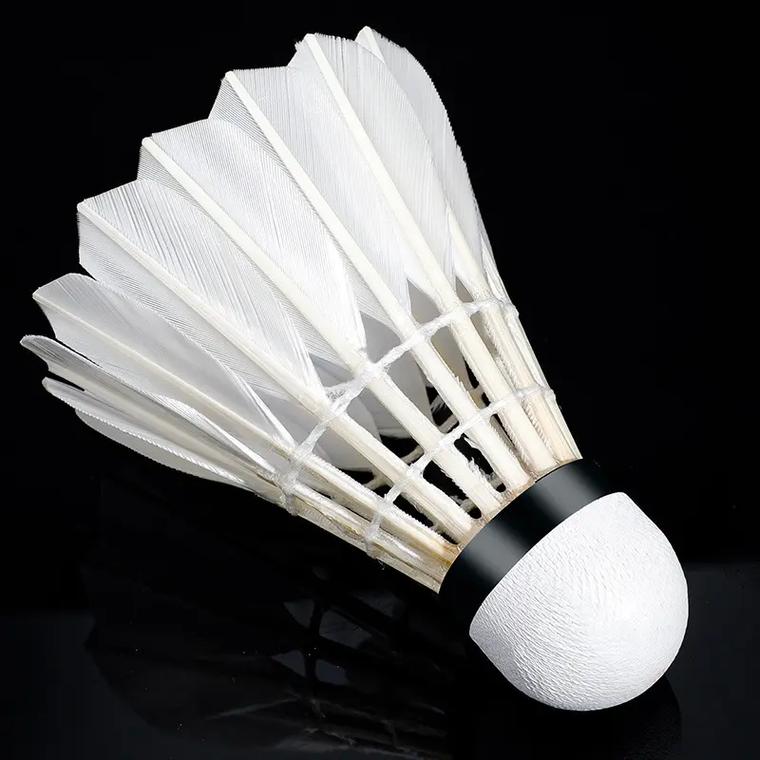 孙杨复出首秀夺冠 赢400米自由泳激动大哭